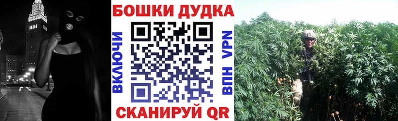 Бошки марихуана Amnesia  Семёнов 